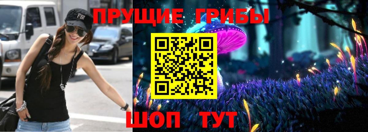 Псилоцибиновые грибы Psilocybe Псков