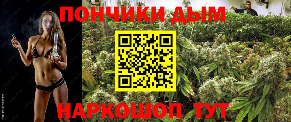 Псков  Бошки марихуана ГИДРОПОН  Вход с VPN  МАРИХУАНА SATIVA & INDICA  Бошки марихуана ГИДРОПОН 